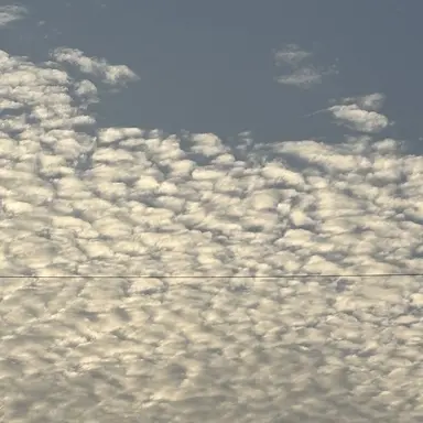 Profile image of 잠뜰