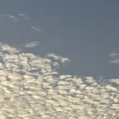 Profile image of 각별