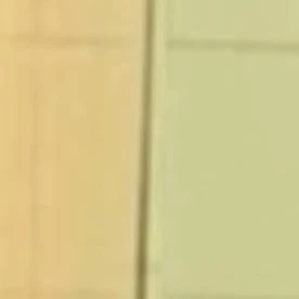 太田 優輝