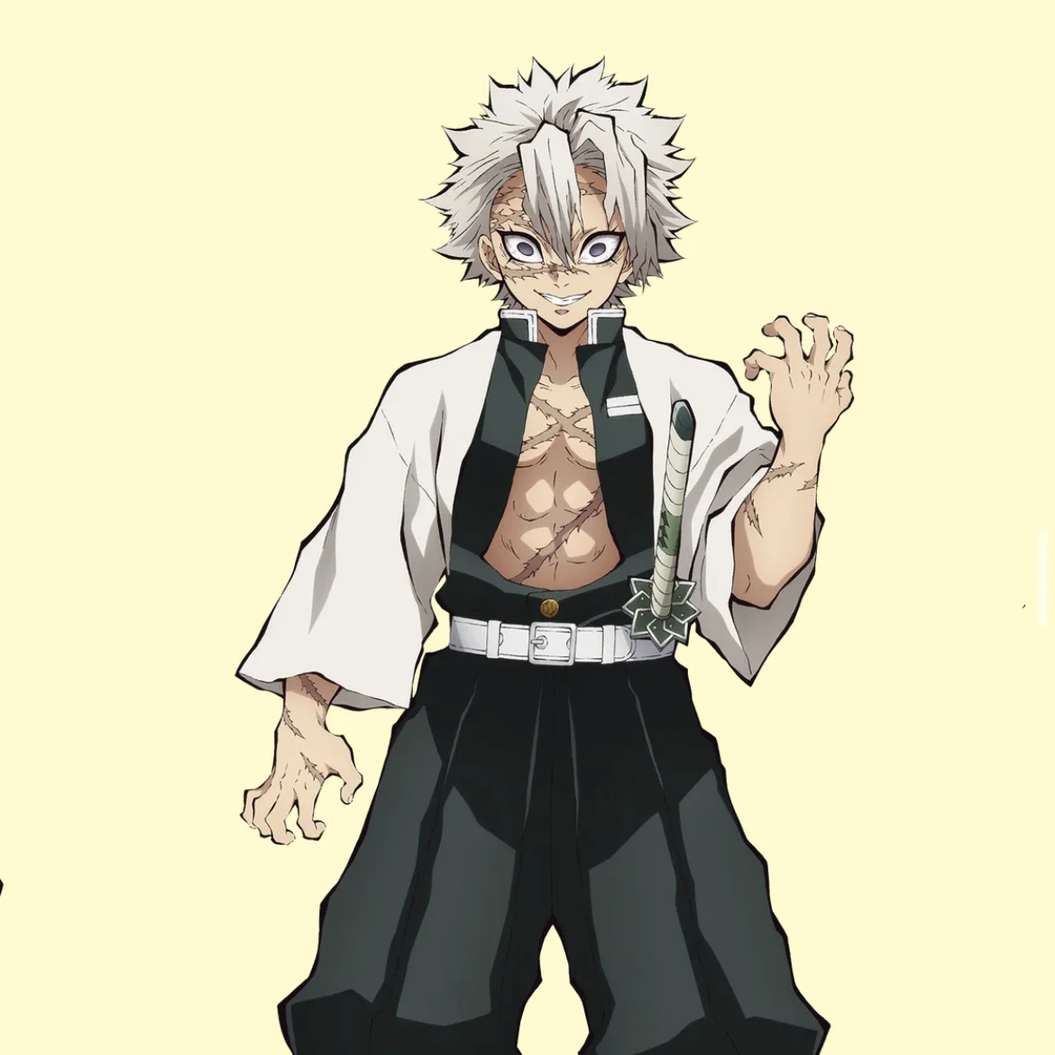 시나즈가와 사네미