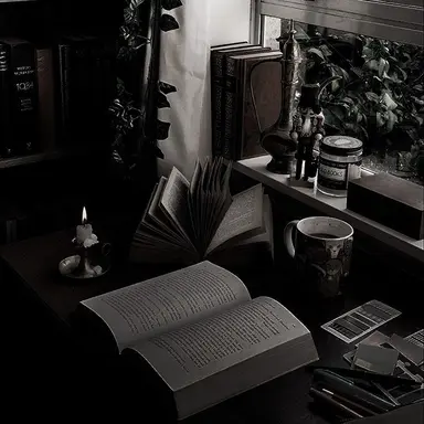 Profile image of 서라더