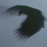 Profile image of ホッブズ