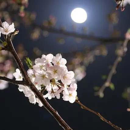 Parkluna89의 조선시대 뜰팁