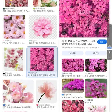 Profile image of 황홍연