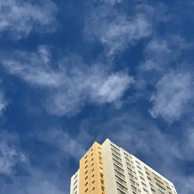 Profile image of 여우