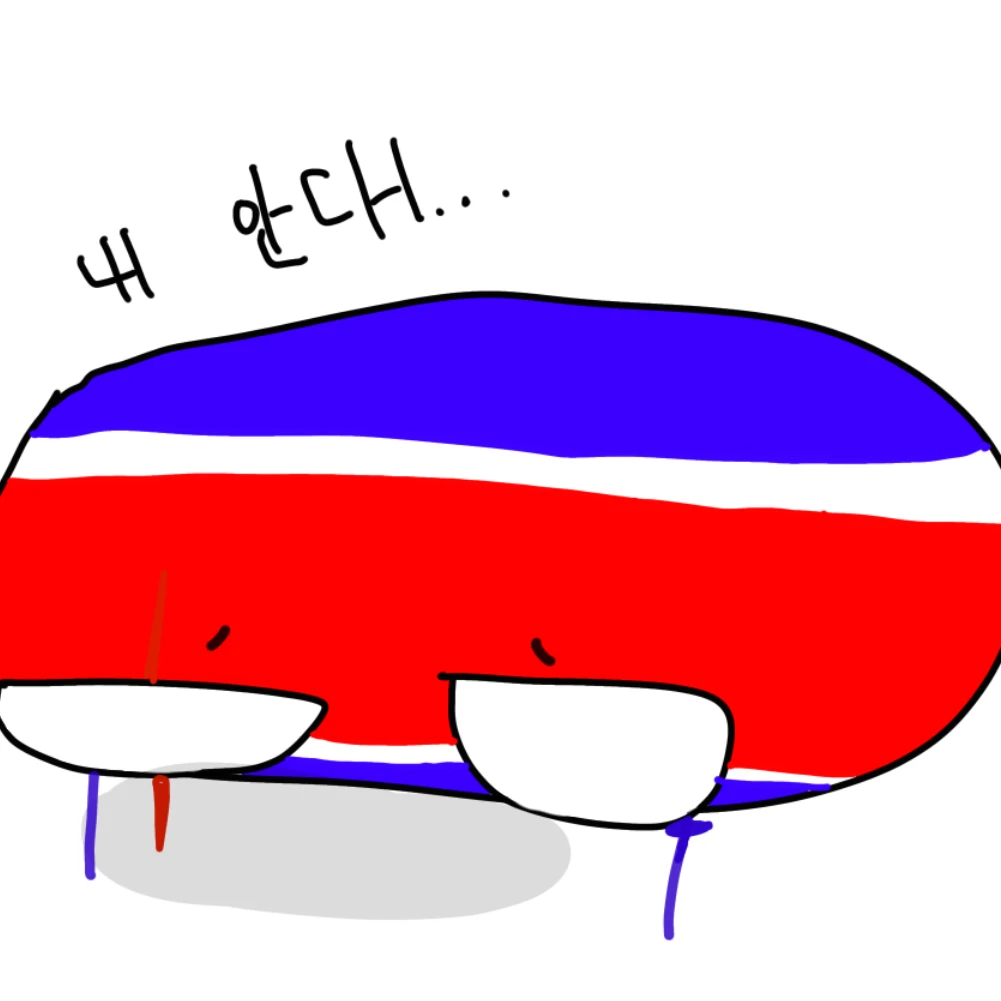 -삐진 북한