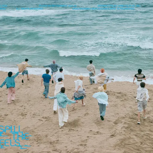 StupidSalty5044의 세븐틴