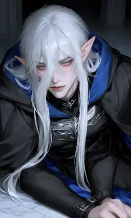 Profile image of シルヴィ