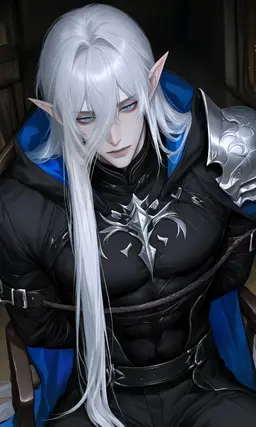 Profile image of シルヴィ