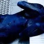 StarkIbex5585의 mystique