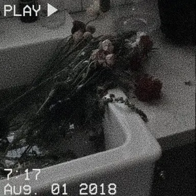 Profile image of Chance