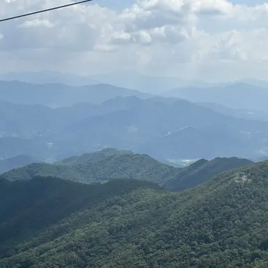 Profile image of 하나