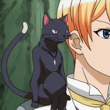 Profile image of 마오