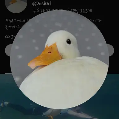 Profile image of 오리