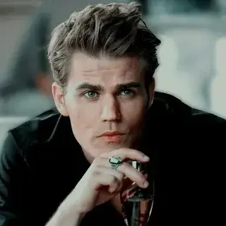 Profile image of Stefan Salvatore