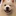 わんこのくせに生意気だ…！