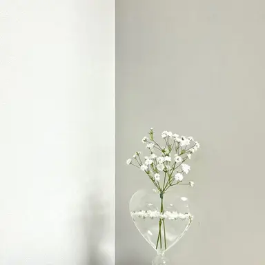 Profile image of 후지나가 사쿠야