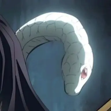 Profile image of 유시나 유은