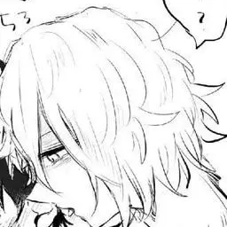 Profile image of 死柄木弔