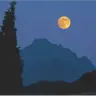 Profile image of 록샨