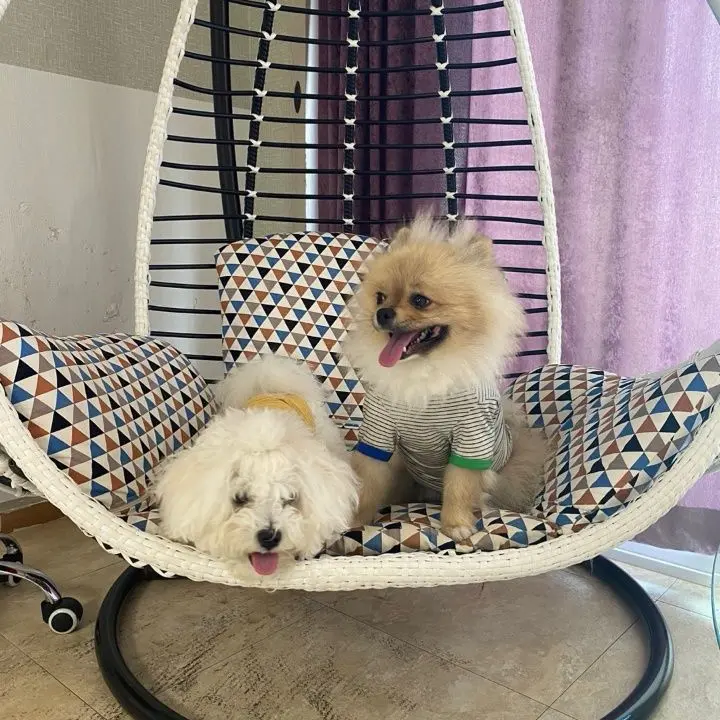 JEBMmM의 타로유키와 대화하기