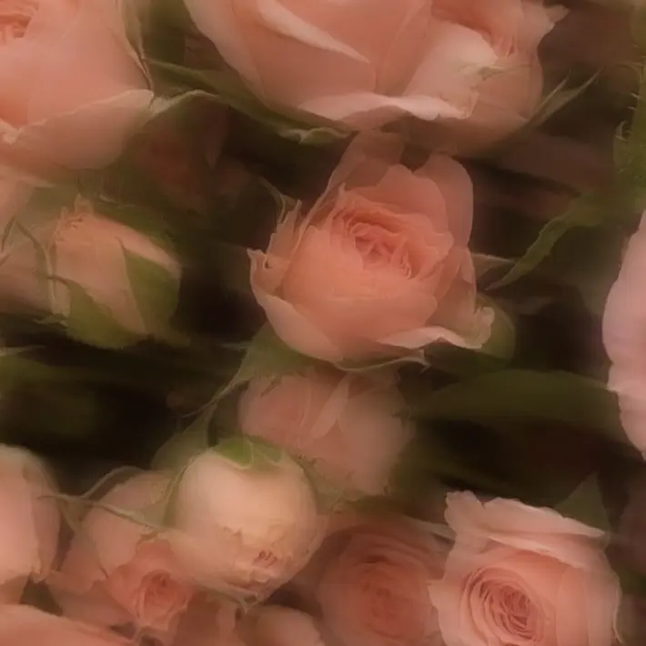 ahyone._x의 그래서 , 누구랑 사귄다고 .. -?