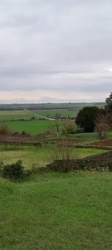 Profile image of Mha villian