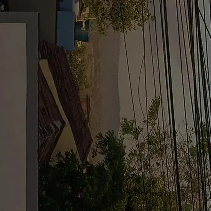 WildCoach9944의 You have infantilism