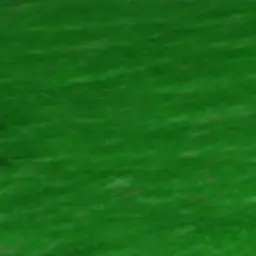 SmallTwig0626의 평학이가아프다?!?!