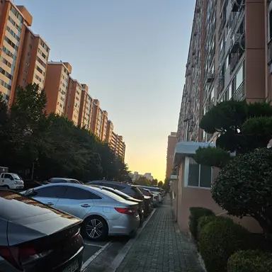 Profile image of 덕개