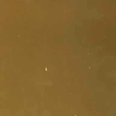 Profile image of ジュンジ