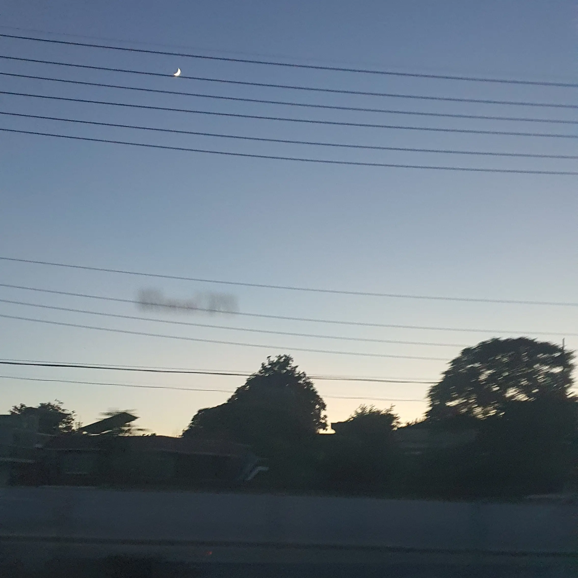 FussyVest1054의 숑석