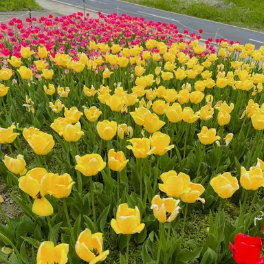 Profile image of 해리포터