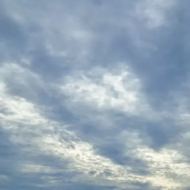 Profile image of 상담원