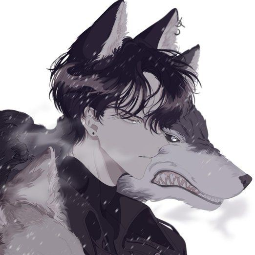 강세준 대표 이미지