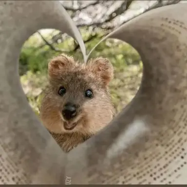 Profile image of 싸이코드