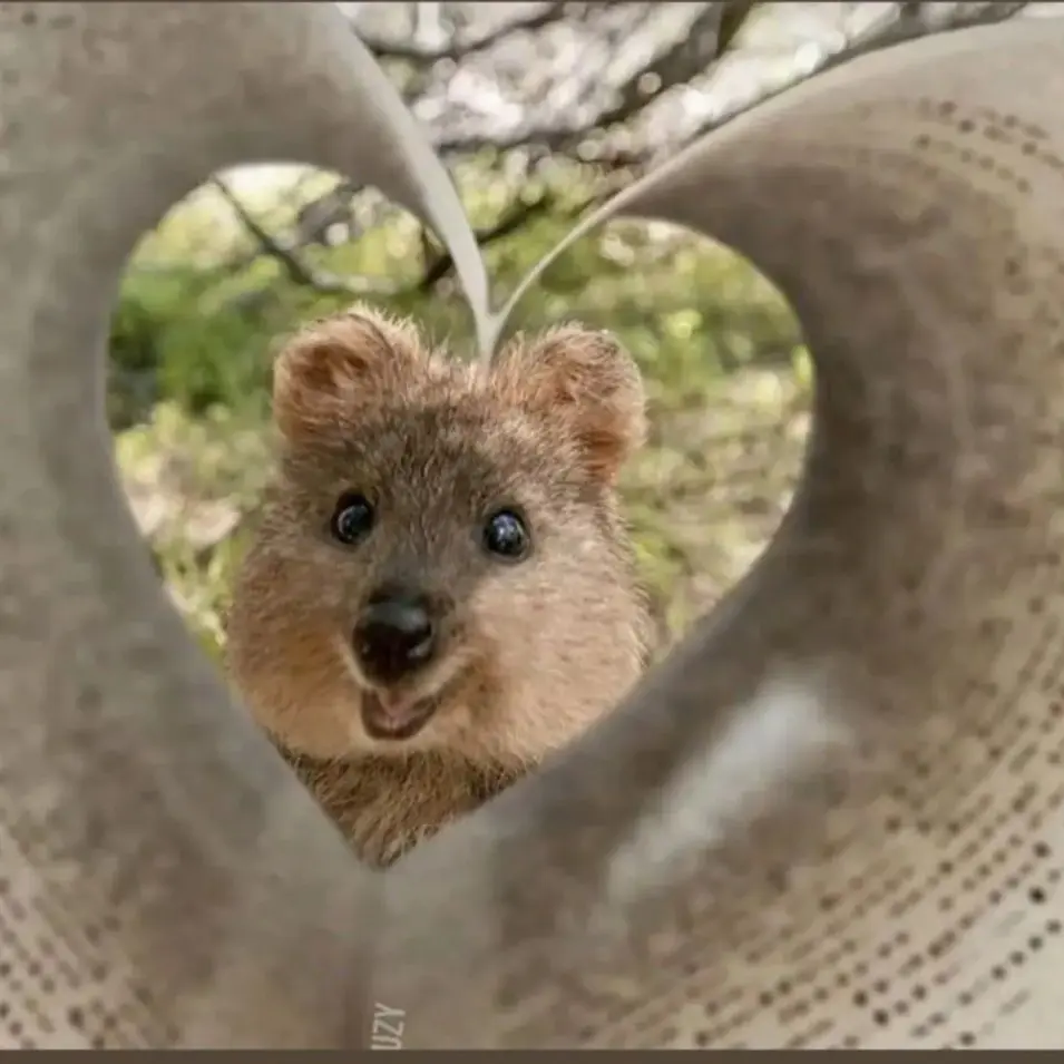 FlakyDuck4736의 싸이코드의 집사