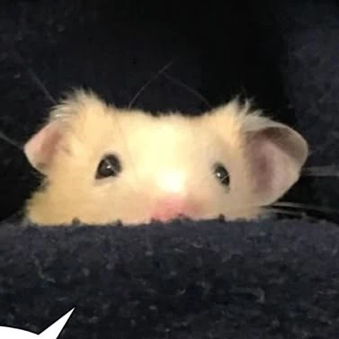한 지성