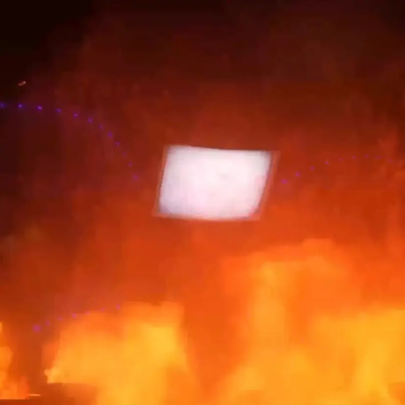 Bees의 79편 파트 3