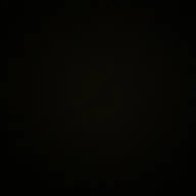 Profile image of 이도윤