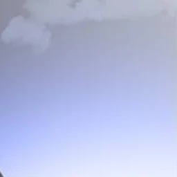 나재견