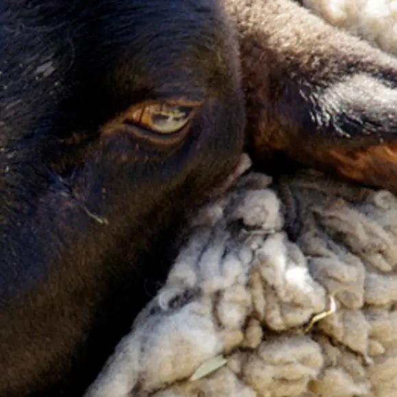 BigEgret4305의 🐏📦️🪐🌹