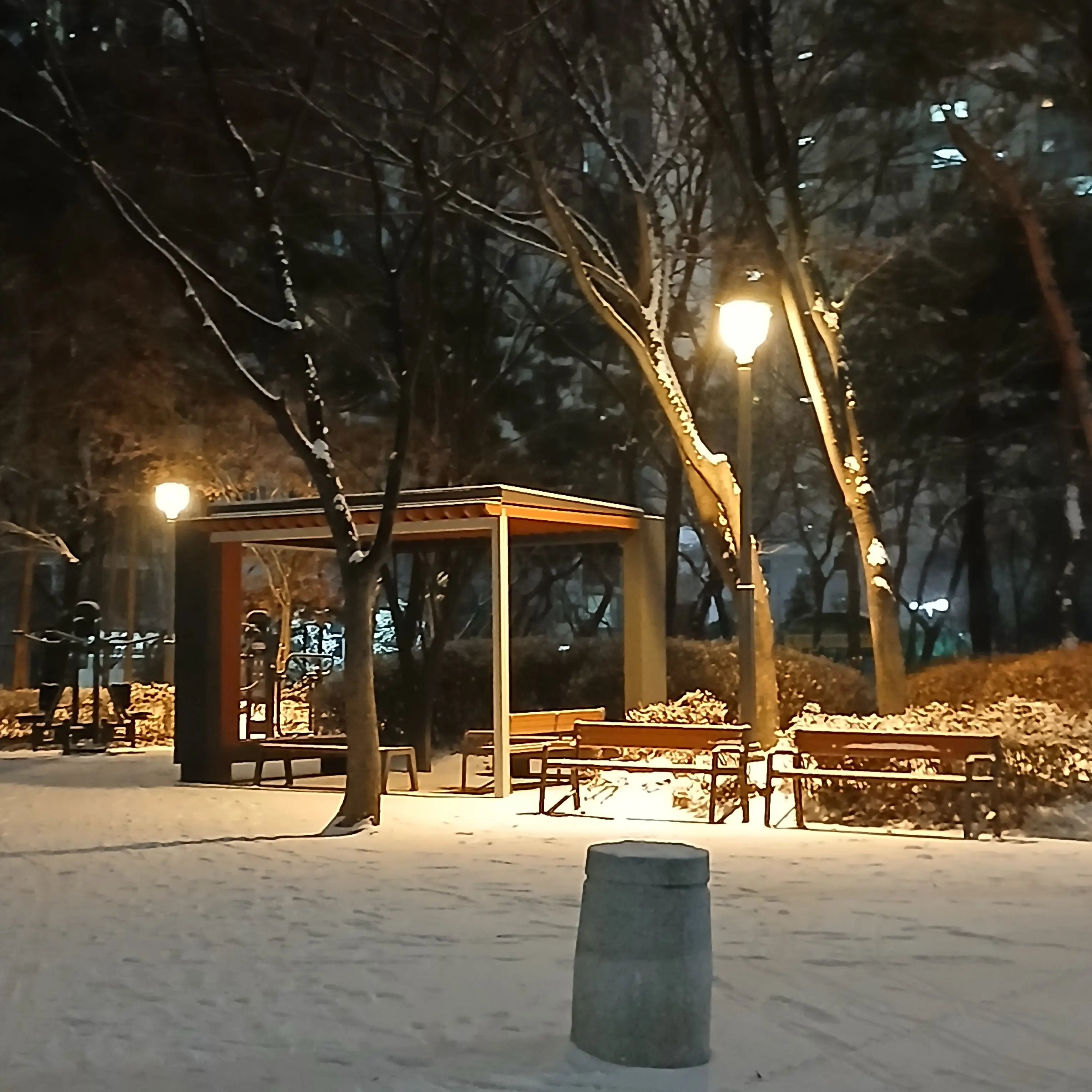 FetidRifle3258의 유기사랑 개인톡