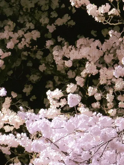 chowonsang의 나는 너를 담기 위해 태어났던가