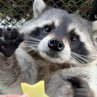 Profile image of 조 원 상