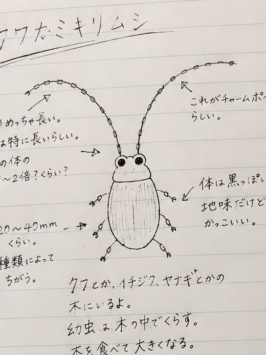 mametannbo의 クガくんの生物観察