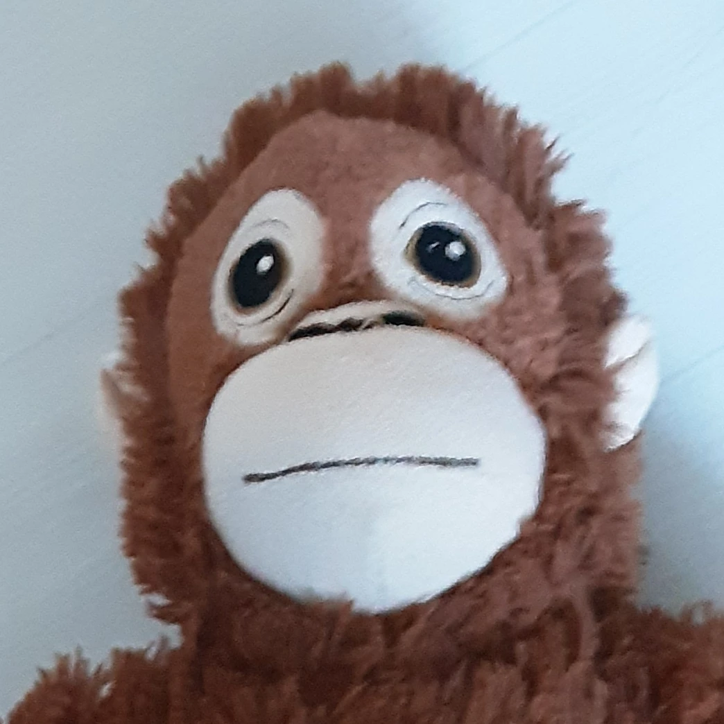 오랑이