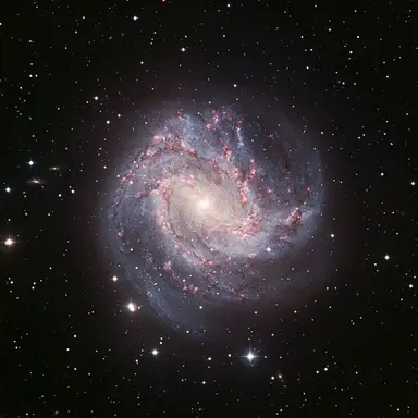 Profile image of 은하