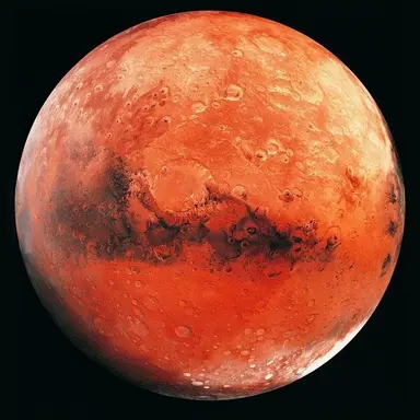 Profile image of 화성
