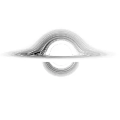 Profile image of 화이트홀